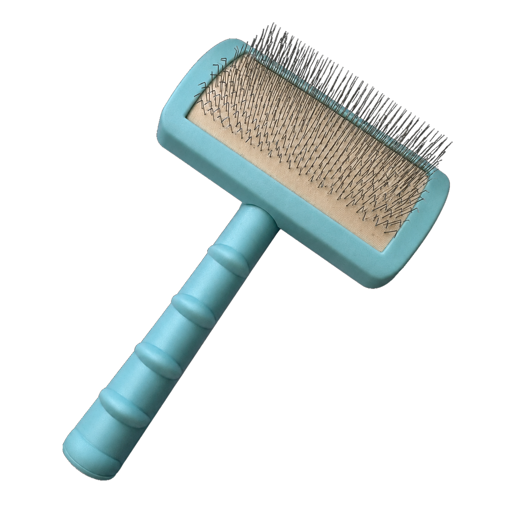 Teal Poodle  Slicker