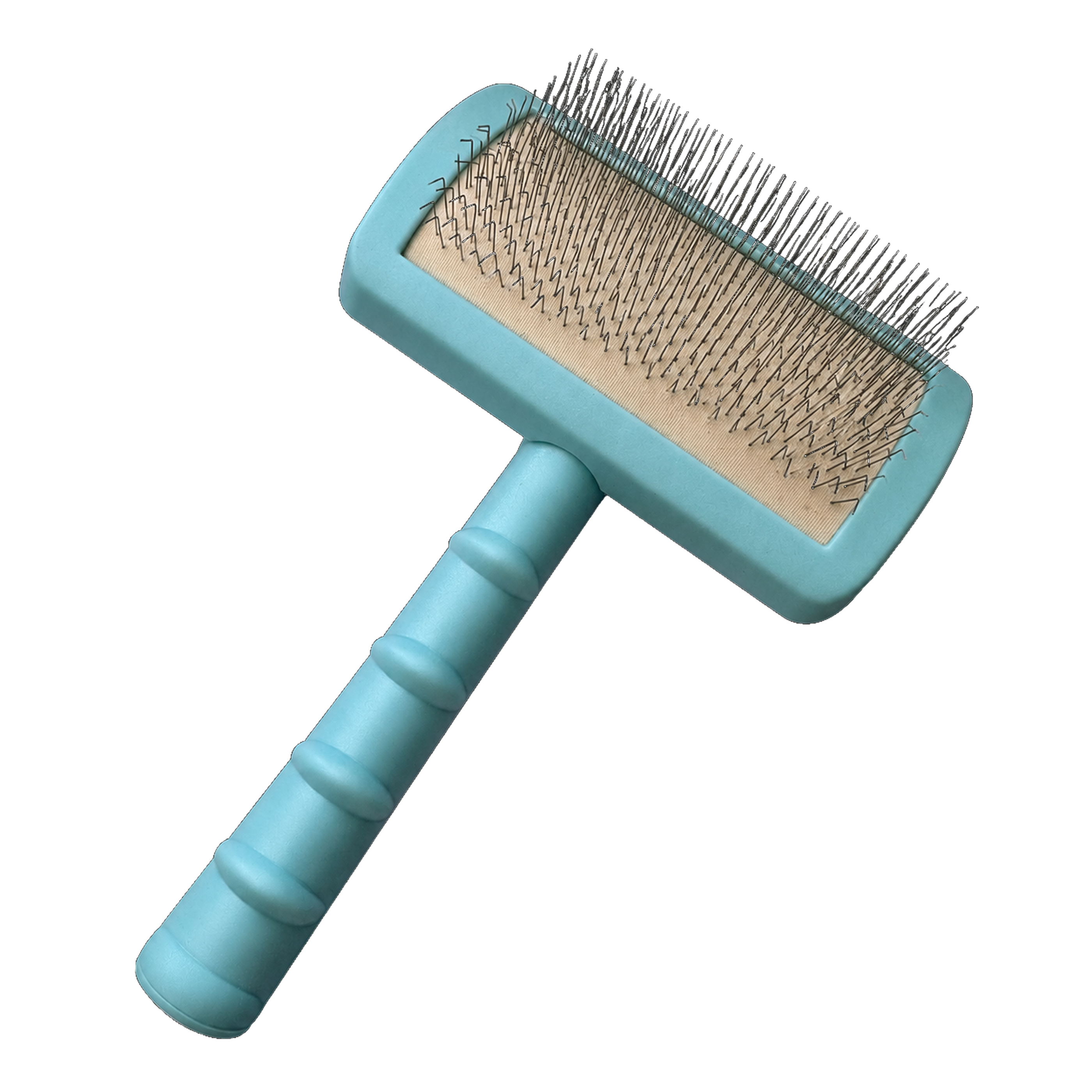 Teal Poodle  Slicker